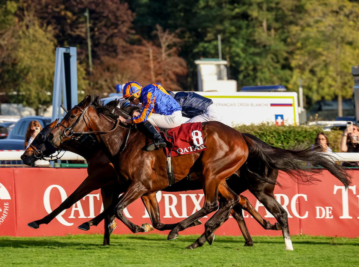 True Love, Longchamp, horse racing, America's Best Racing, ABR